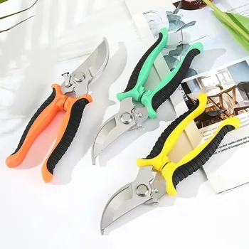 Stainless Steel Pruning Shears, Garden Scissors for Branch Trimming, Fruit Picking & Flower Arranging Tools