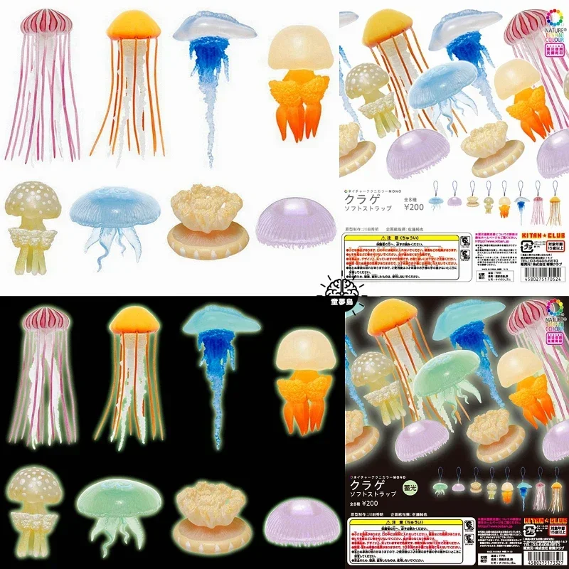 Sa83d1a8410e543a283a107a7d9bff