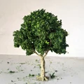 DGreen 15cm