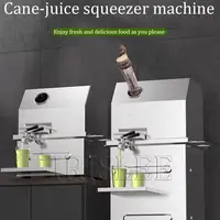 Sugar Cane Juice Extractor Equeezer Sugarcane Juicer Stainless Steel Multi-Purpose Commercial Sugarcane Juice Machine 1