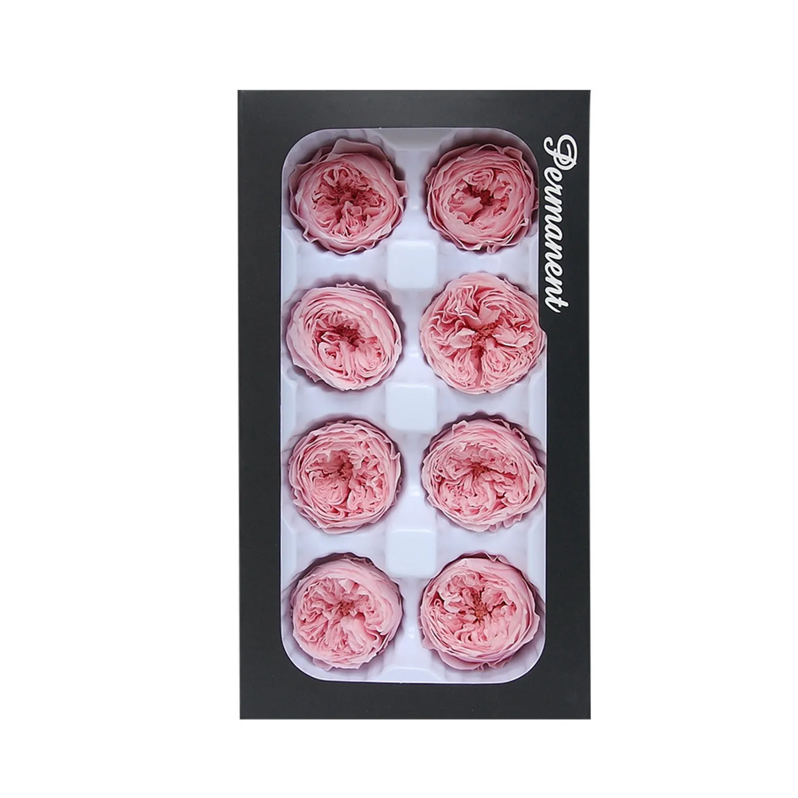 Eternal Life Flower A Level 4 5cm Key Chain Car Hanging Gift Box Flower Material Bridal Headwear Dry Autumn Flowers 4