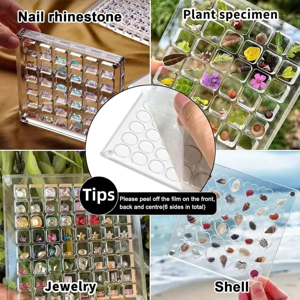 Acrylic Magnetic Seashell Display Box 36/64Grids Circle & Heart Jewelry Display Cases Container With Lid Small 6