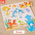 Ocean