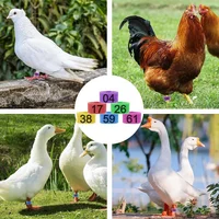 80Pcs 16Mm Chicken Leg Bands With 8 Colors,Colorful 01-80 Numbered Chicken Identification Leg Bands Duck Poultry Leg Tag 2