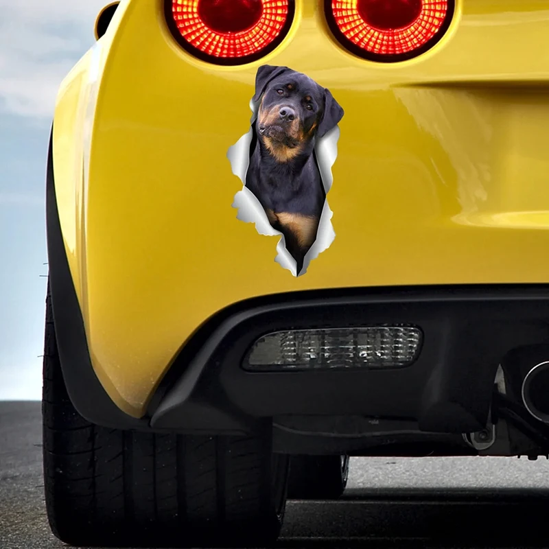 Рисунок 4 - V1152 # Автомобильная наклейка Rottweiler Pet