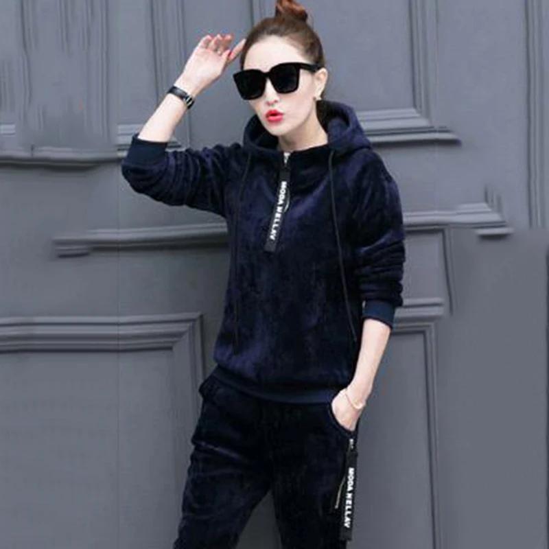 Winter Thicken Velvet 2 Pieces Sets Hooded Sweatshirt Tops Tracksuit High Waist Harem Ankle Length Pant Suits Plush Lined Outfit