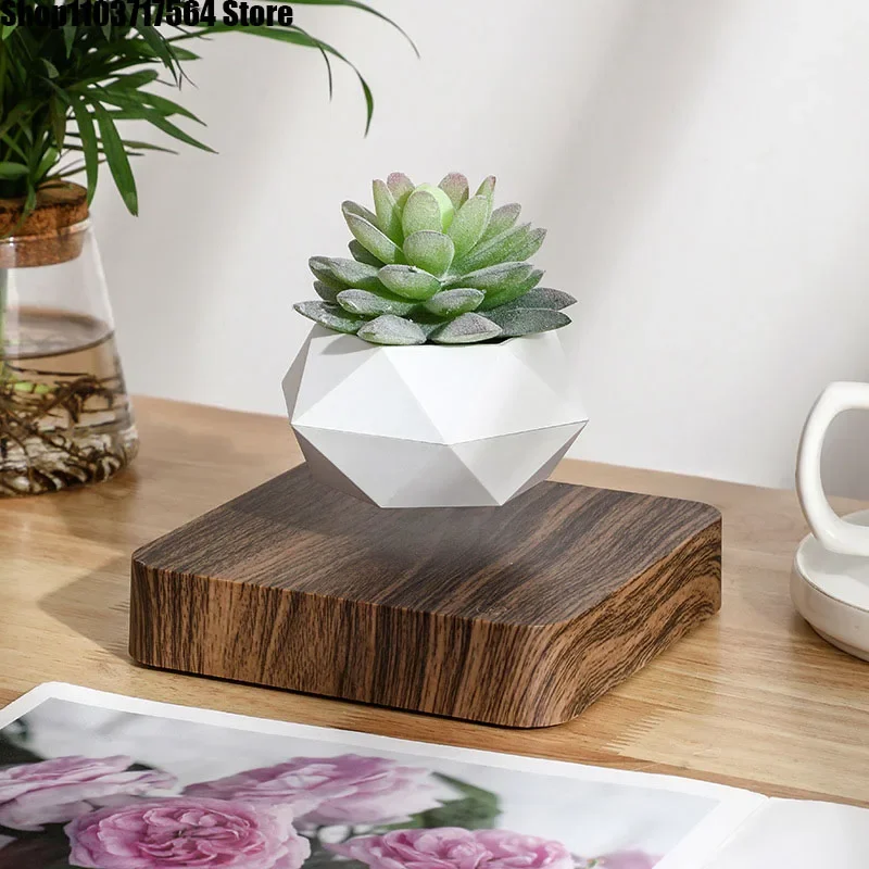 

Maglev potted decoration Valentine's Day creative gift Simple modern green plant office home decoration