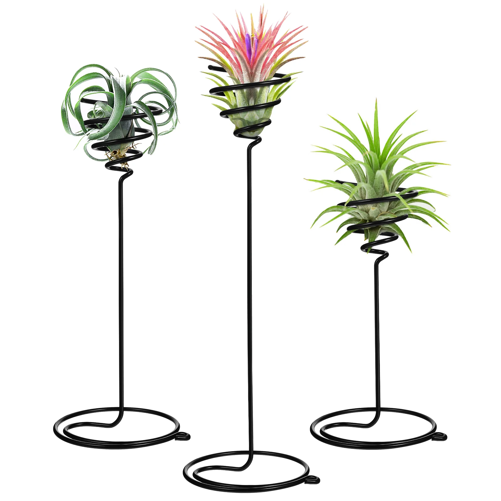 3 Pcs Air Plant Holder Spiral Flower Stand Plant Display Rack Metal Premium Durable Home Office Decoration Tillandsia Container