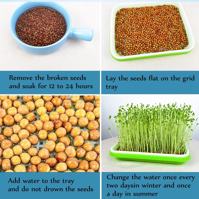 2 Sets Food Safety PP Hydroponic Planter Vegetable Beans Sprouting Seeding Pot Household Plants Germination Nursery Tray