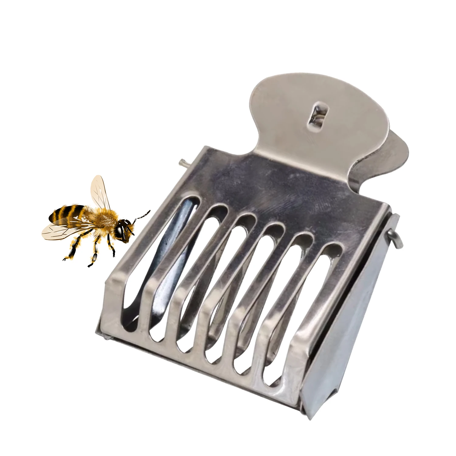 Queen Bee Catcher Clip Isolation Trap Box Stainless Steel Bee Prisoner Cages Beekeeping Equipment Apiculture Beekeeper Tool