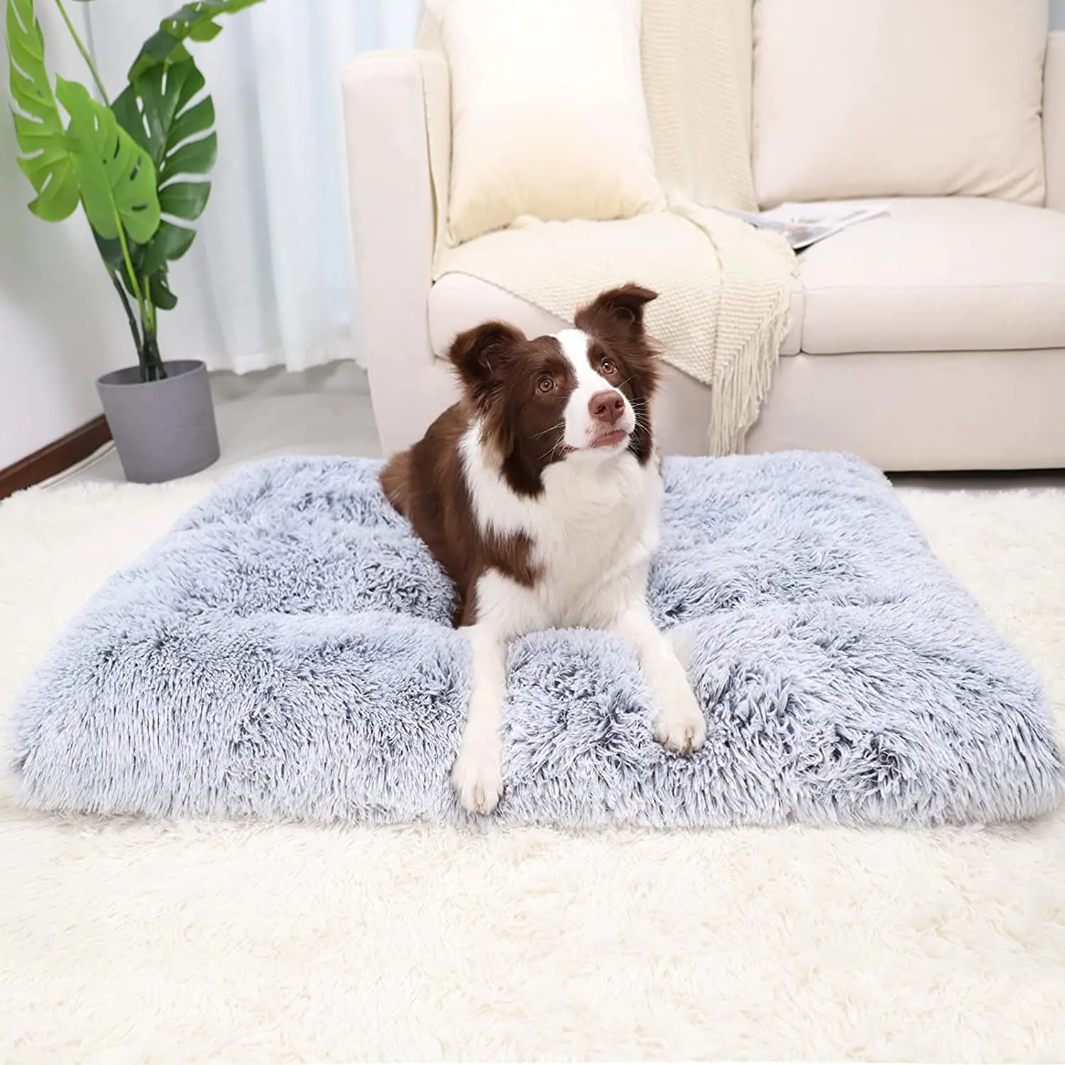 https://ae01.alicdn.com/kf/Sa84fafe09f4d4994993ccfd5427273485/Dog-Bed-Crate-Pad-Deluxe-Plush-Anti-Slip-Pet-Beds-Washable-Dog-Crate-Mat-for-Large.jpg