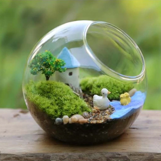 Simulated Green Algae Ball Aquarium Decoration Sunken Grass Landscape  Ecology Fish Tank Landscape Decoration Aquarium Plants - AliExpress