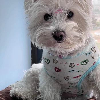 Cotton Vest Dogs Clothes For Small Dogs Chihuahua Clothes Summer Animals Cartoon Vest Dog T-Shirt For Small Dog Medium Yorkshire 3
