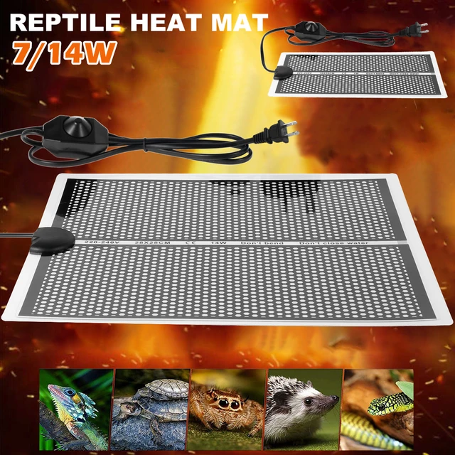 Tappetino riscaldante per rettili 7/14W impermeabile sotto il tappetino  scaldasalviette con controllo della temperatura per tartarughe serpenti  lucertola tartaruga anfibi - AliExpress