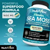 5950-128be1.jpg Vegetarian Organic Sea Moss Supports Immune System, Joint Health Intestinal Cleansing Detoxification & Cleansing Skin Supplement