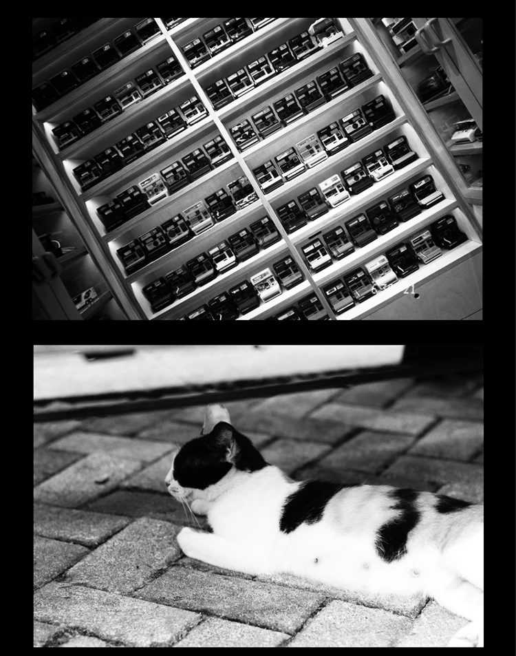 Fujifilm 135mm Black And White Film Acros Ⅱ 36 Professional 100 Degree Negative DX (Expiration Date: 2024)
﻿