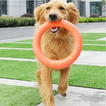 Durable Dog Flying Training Ring 1