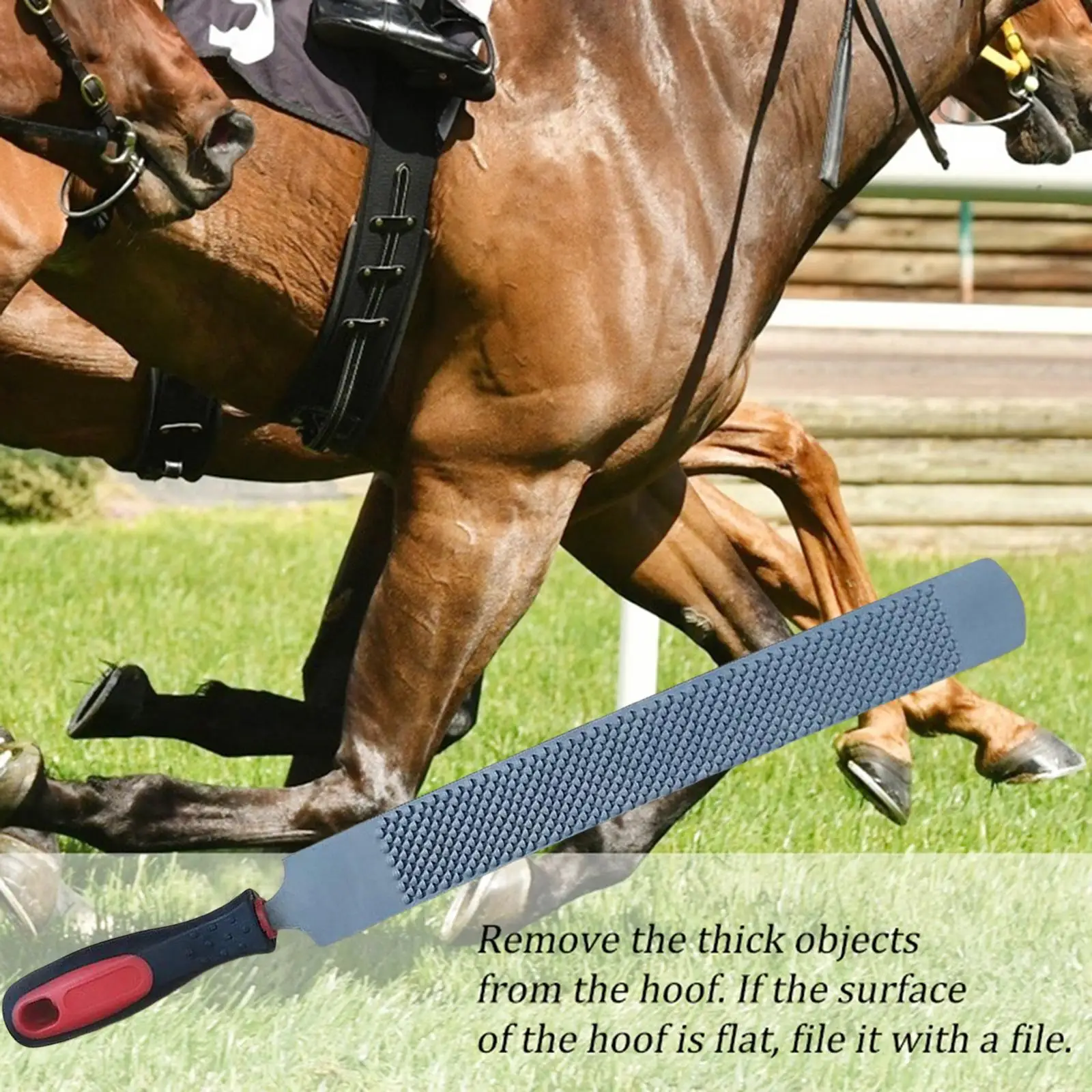 Premium Equine Hoof Rasp with Ergonomic Handle - Ideal for Horse, , Cow, and Hooves
