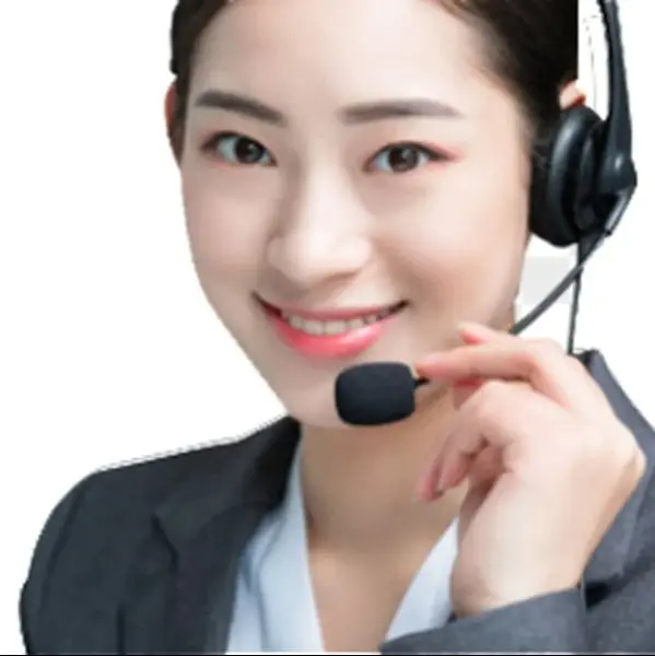 RSNAVI Franchise Store