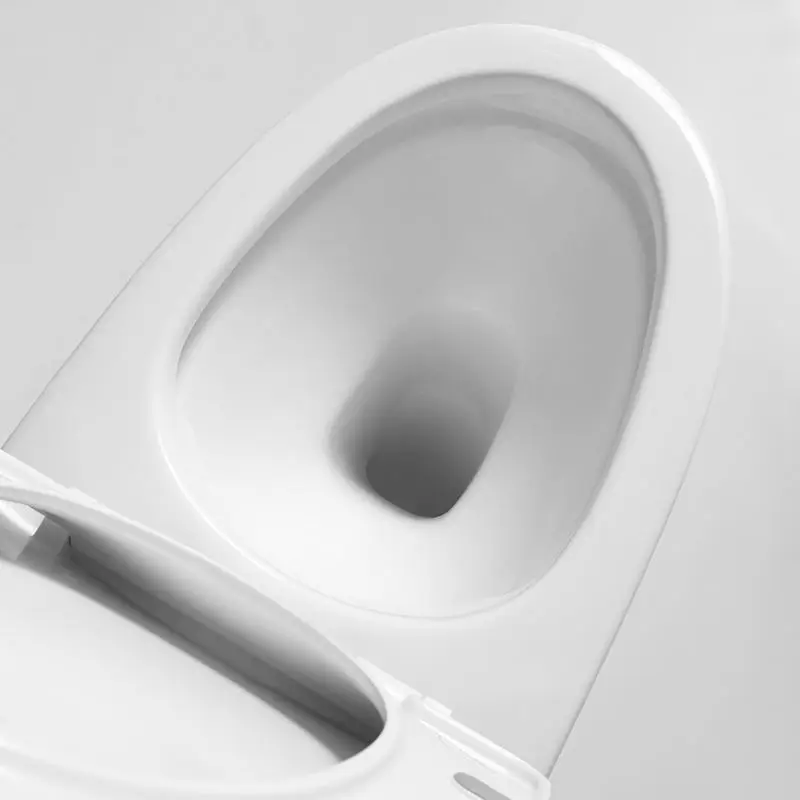 Modern Hotel Design Washdown One-Piece WC Toilets Ceramic Floor Mounted Bathroom Toilet