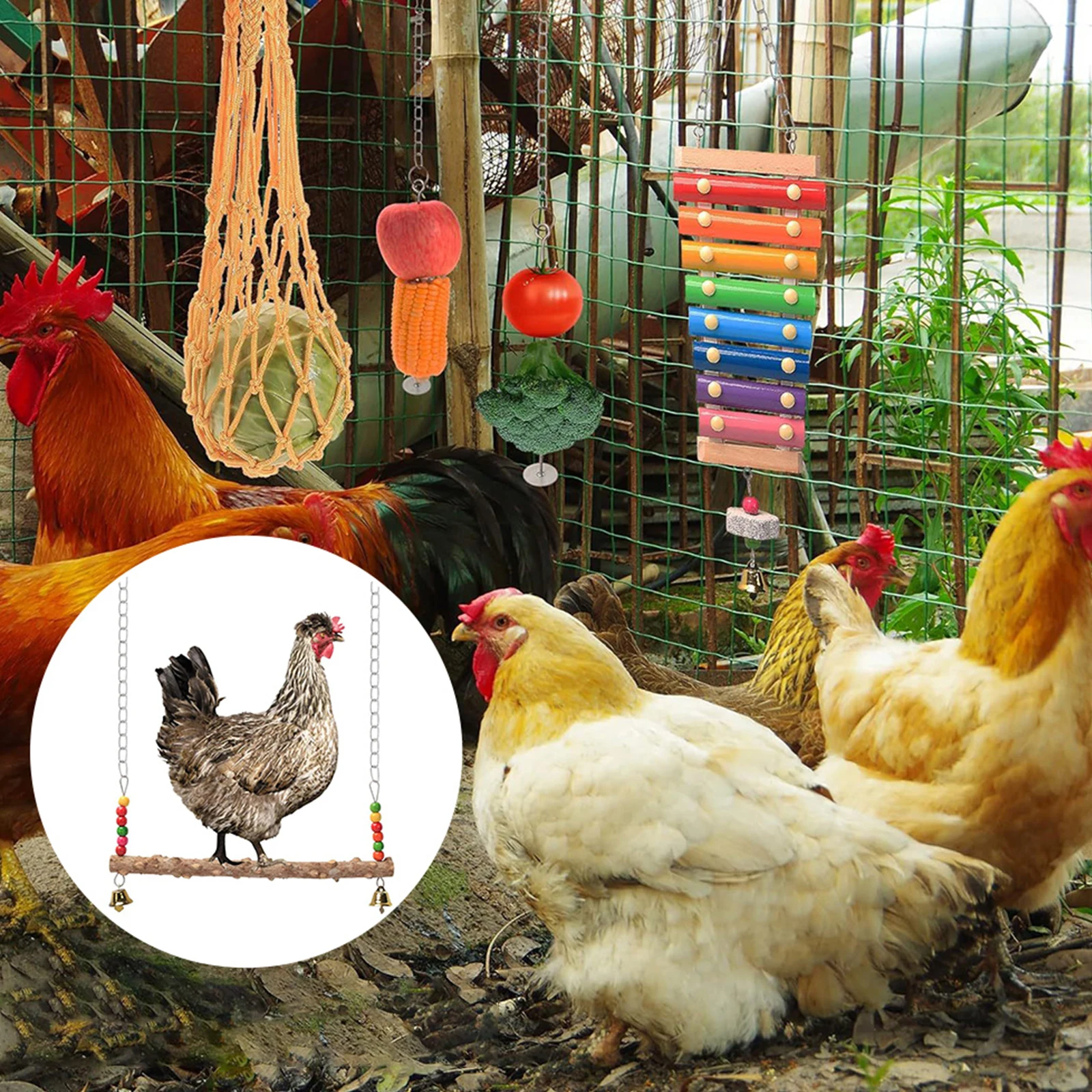 Wooden Chicken Toy Set with Hanging Feeder for Parakeet