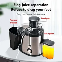Stainless Steel Fruit Vegetable Centrifugal Juice Extractor Automatic Pulp Ejection High Juice Yield Fruits Juice Extractor 2