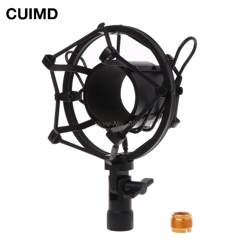 mic knob