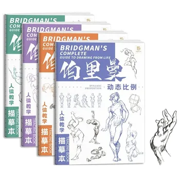 Guida completa di Bridgman per disegnare dalla vita, tracciare schizzi, tutorial dipinto a mano, copia, pratica, linea, tiro, libri di pratica