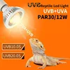 Reptile 10.0/20.0S UV Lamp Bulb UVA UVB Basking Spot Heat Lamp for Lizard Tortoise Bearded Dragon Terrarium Light 파충류 사육장 1