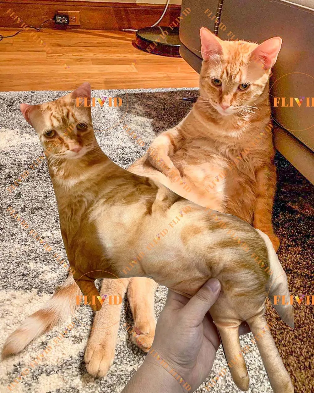 Custom Pet 3D Shape Pillow,Hot Ugly Cat/Dog Zany Pillow,Personalized Pet Pillow from Photo,Pet Loss Memorial Gift,Pet Lover Gift 3