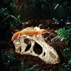 Dinosaur Skull Reptile Pet Hideout Snake Hideout Lizard Basking Platform Reptile Pet Terrarium Aquascape