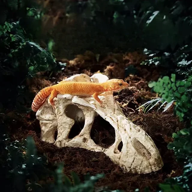 Dinosaur Skull Reptile Pet Hideout Snake Hideout Lizard Basking Platform Reptile Pet Terrarium Aquascape Dinosaur Skull Reptile Pet Hideout Snake Hideout Lizard Basking Platform Reptile Pet Terrarium Aquascape
