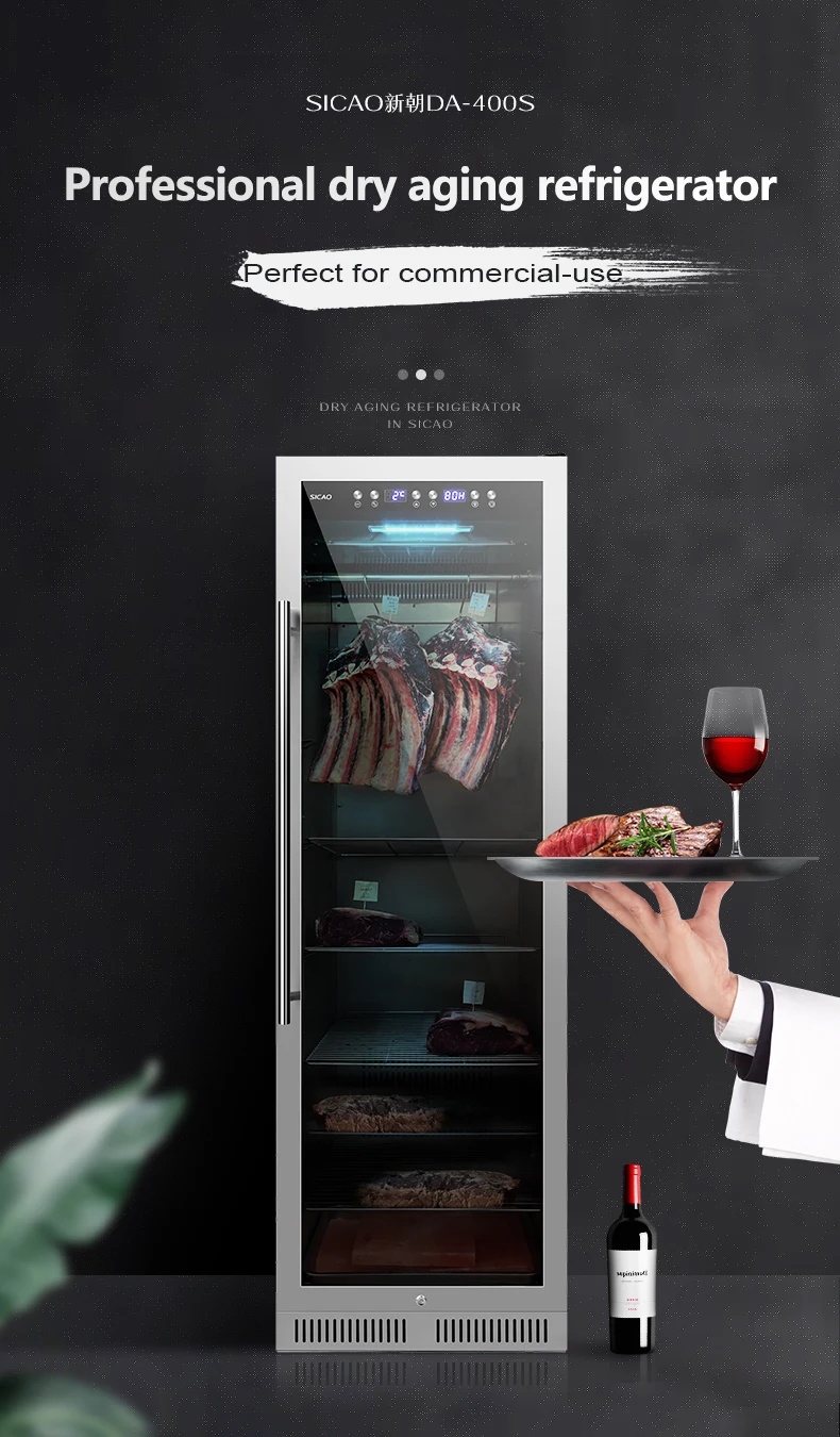 Dry Mature Refrigerator Energy-saving Beef Jerky Aging Beef Commercial Refrigerator Steak Aging Refrigerator For Sale - Image 3