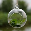 Transparent Glass Vase Plant Creative Hanging Glass Ball Flower Vase Terrarium Container Home Office Decor Hanging Decorative 5
