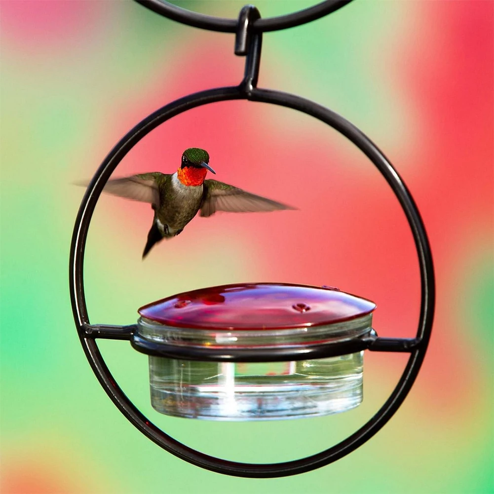Outdoor Humming Bird Feeder Ant Bee Proof Hummingbird Drinker Feeder with Red Glass Bowl for Outside Garden Backyard Patio Deck