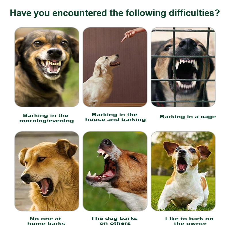 How Do I Stop My Dog Barking In The Morning