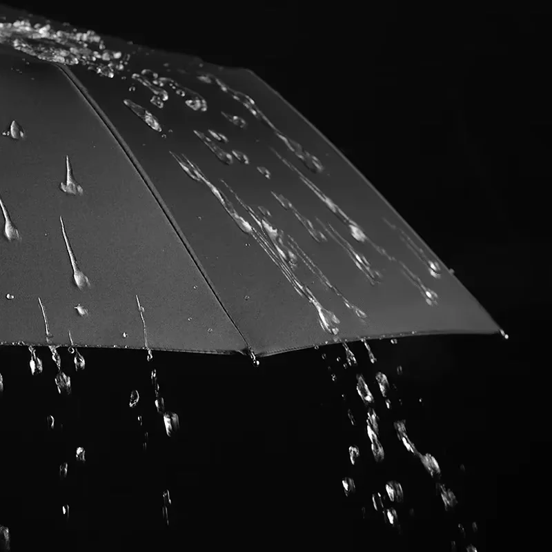 10 Bones Windproof Double Layer Resistant Umbrella Fully Automatic Rain Men Women Luxury Business Male Large Umbrellas Parasol 2