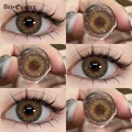 Brown hazel