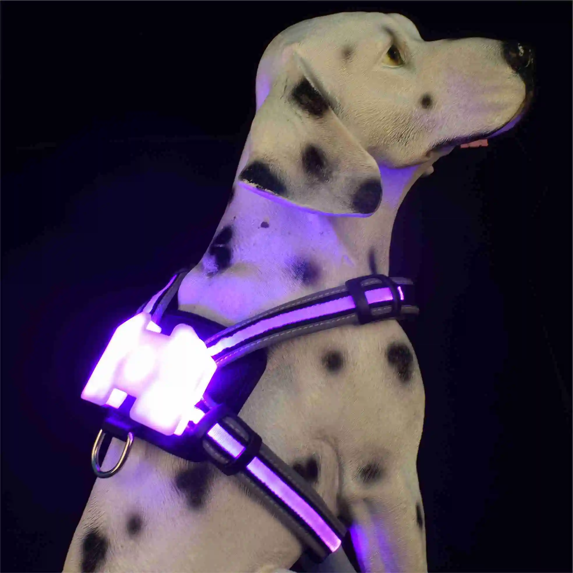LED DOG HARNESS waterproof charging dog accessories for large Reflective Harness for Dogs 6 LED DOG HARNESS waterproof charging dog accessories for large Reflective Harness for Dogs 6