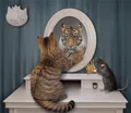 108 Cat and Tiger