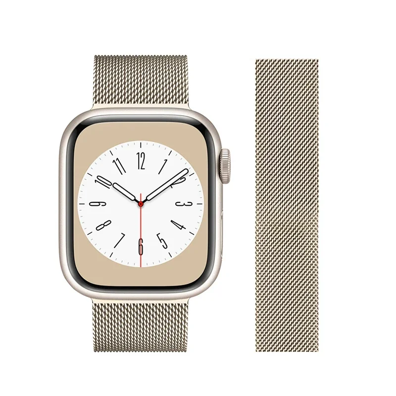 Elegant Stainless Steel Magnetic Loop Band