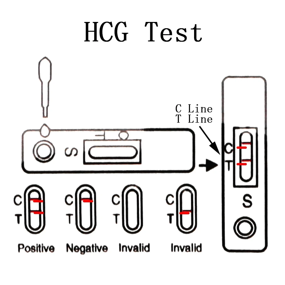 HCG Early Pregnancy Test Strips 10PCS for Pregnancy Test Strips