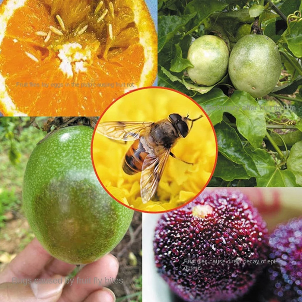 Fruit Fly Trap Fruit Fly Attractant Liquid 10Pcs 2ml For Gardens Backyards Greenhouses Nurseries