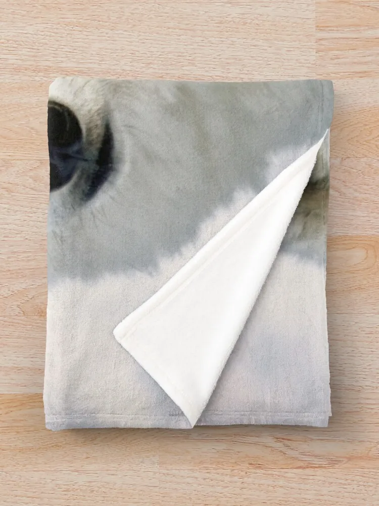 �ϱ� ���� ������ ���, ķ�� ���, �� �ʴ��� ������ ���