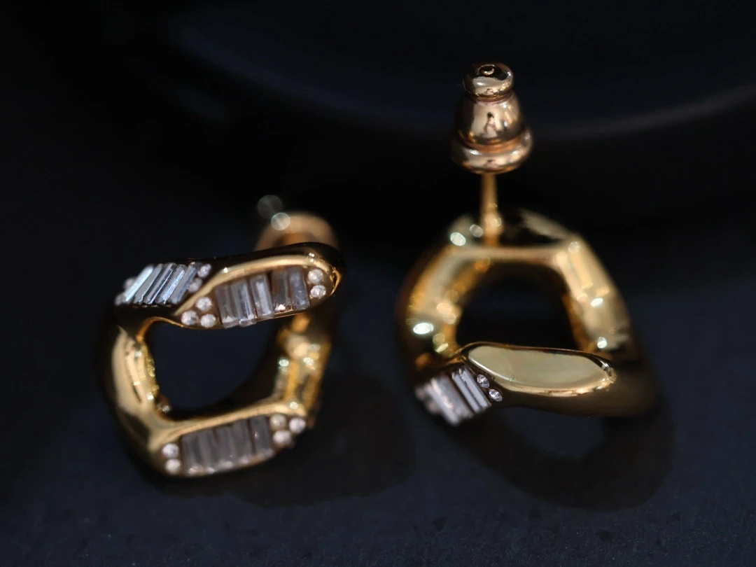 

New niche design, exquisite and fashionable, versatile and high-end earrings