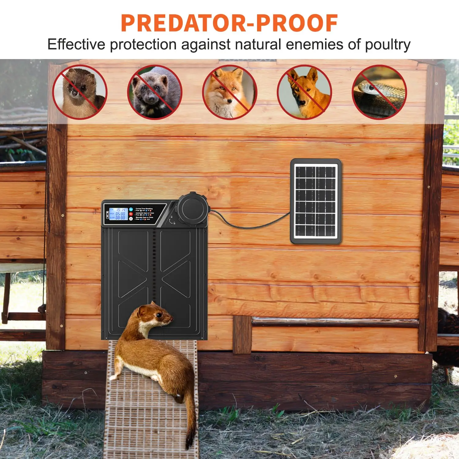 Anti-Pinch Automatic Chicken Coop Door with Timer Solar Chicken Coop Door Durable Aluminum Alloy Predator Protection