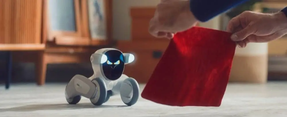 Loona Robot Intelligent Domestique