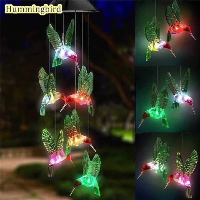 Hummingbird