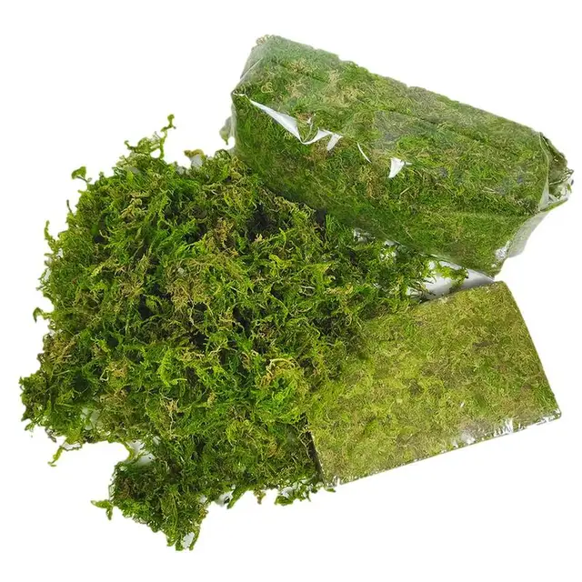 Sphagnum Moha Organikus Műtrágya 150G Természetes Cserepes Keverék Táplálkozási Könnyen Használható Növényi Növekedési Kézművességhez