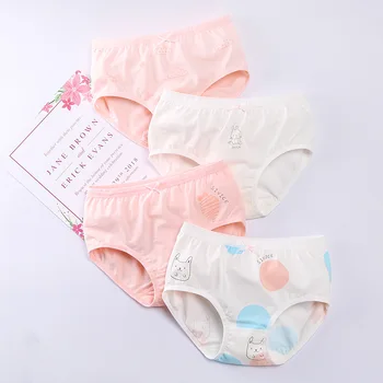 Kids Girls Cotton Panties – 4-Pack 1